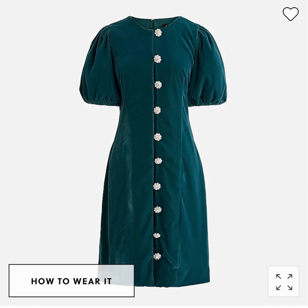 J.Crew velvet forest classy dress